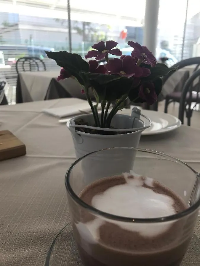 Hotel Villa Hermosa 리치오네